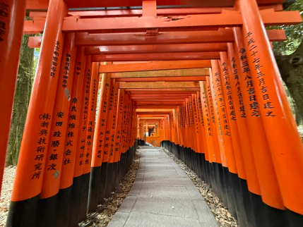 Kyoto tori gates at Fushimi Inari Shrine, part of what to avoid visiting in midday in Japan