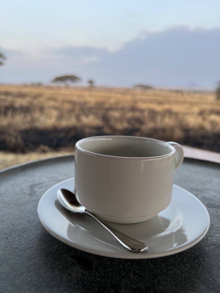 coffee while travel planning for 2026 overlooking the Serengeti