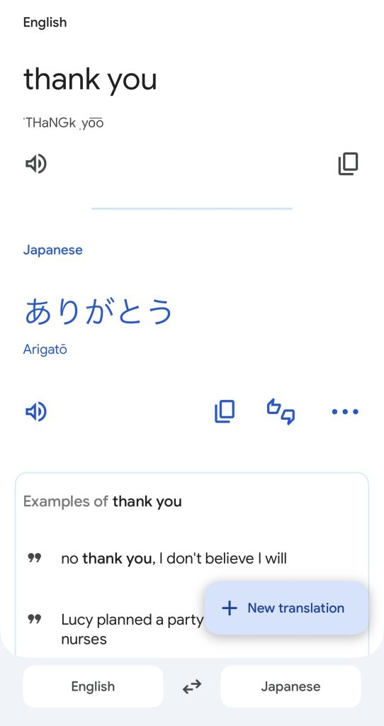 Google Translate makes it easy to converse with people and understand the local language