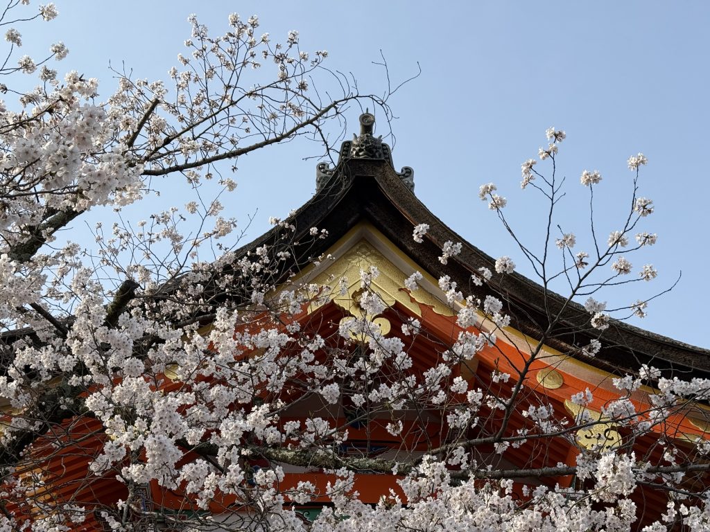 View of a temple in Kyoto surrounded by cherry blossoms