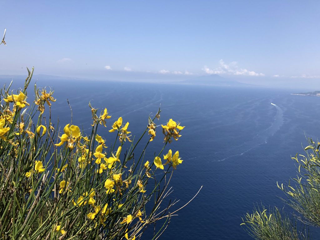 View of Capri's deep blue seas from the top of the island