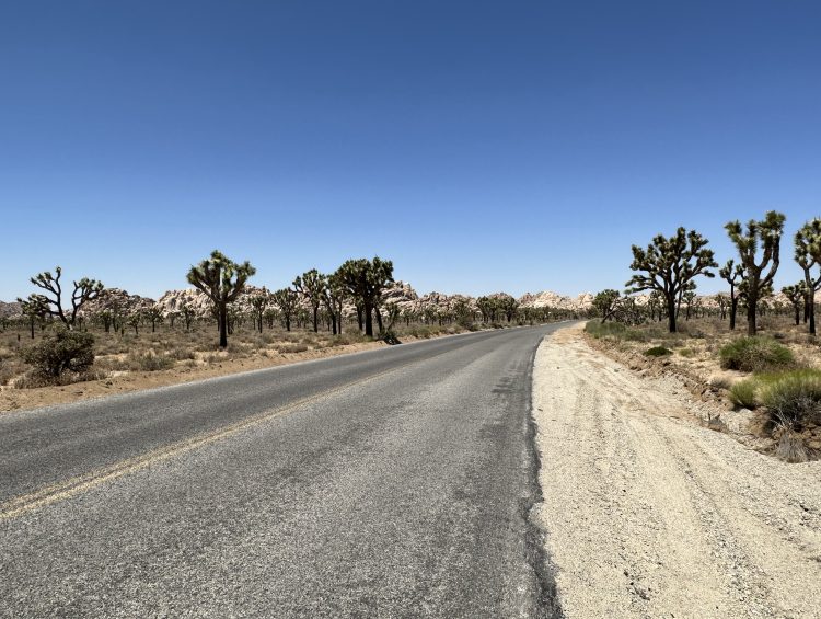 Joshua Tree National Park, a long day trip from San Diego