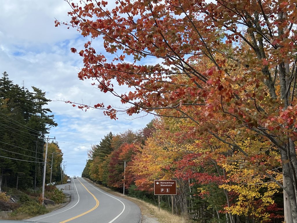 fall foliage along the maine highway