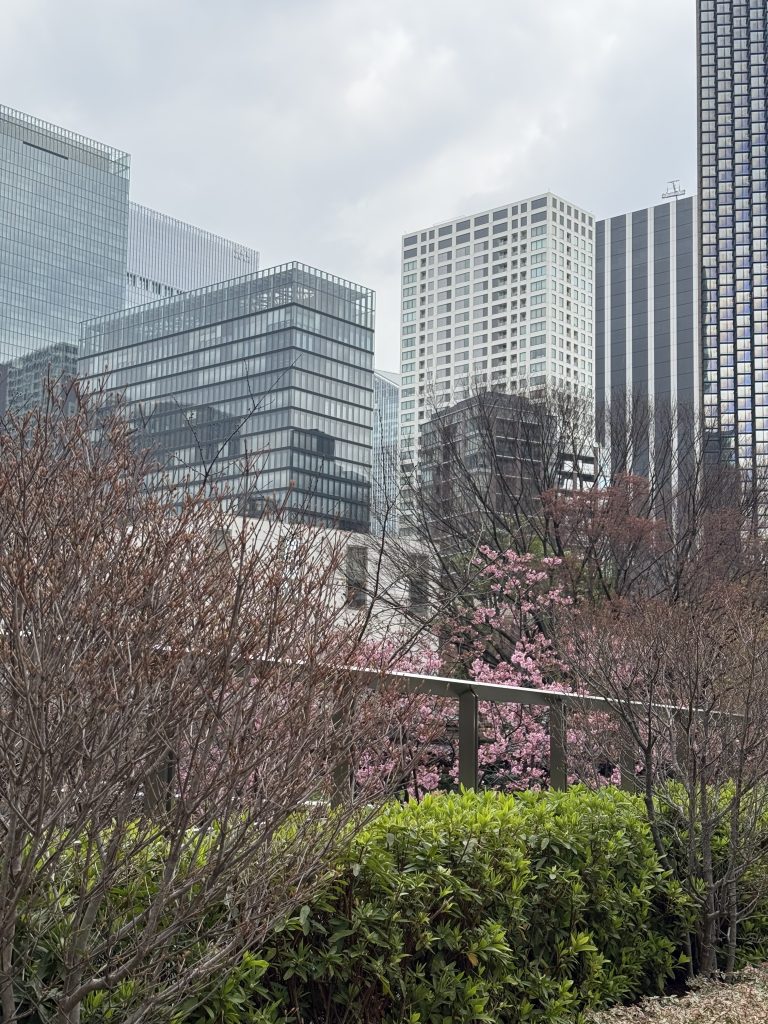 Roppongi neighborhood in Tokyo Japan traveling solo
