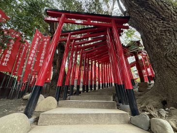 Some temples in Tokyo don't cost anything to see, like the Tori gates at Nori Park