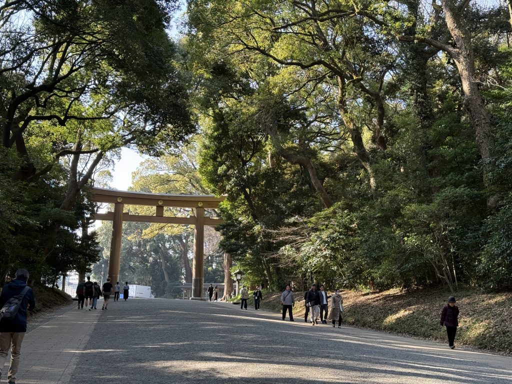 Morning light in Yoyogi Park in Tokyo, Japan