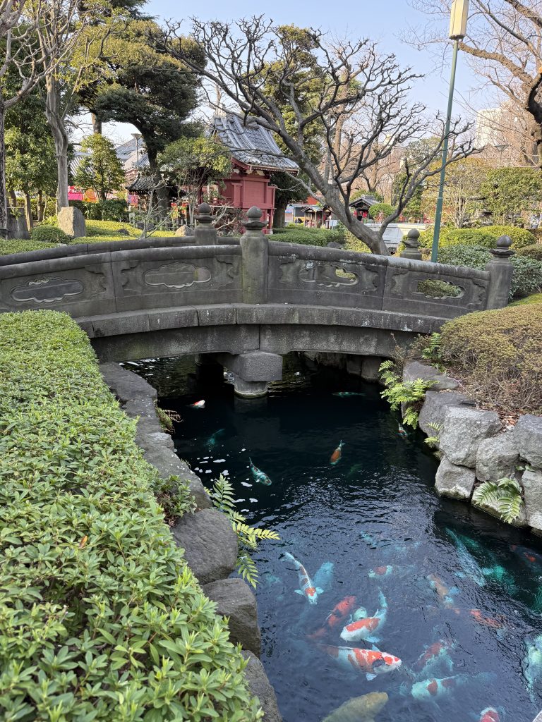 Peaceful bridge and koi at Senso-ji temple in Asakusa, Japan