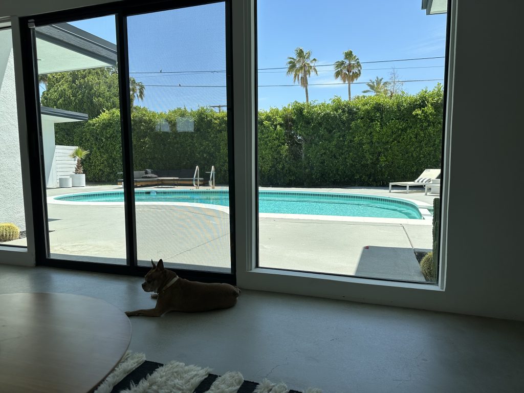 Having access to a pool is a must when relaxing in the desert during a girls trip