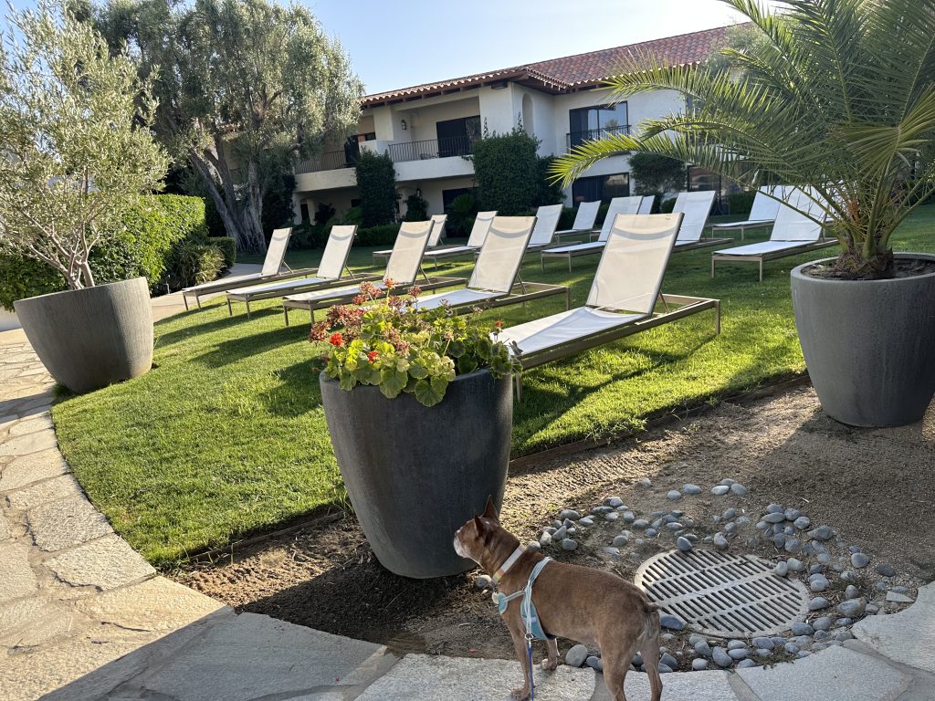 Palm Desert resorts are bigger, more relaxing, and make it so you don't have to leave