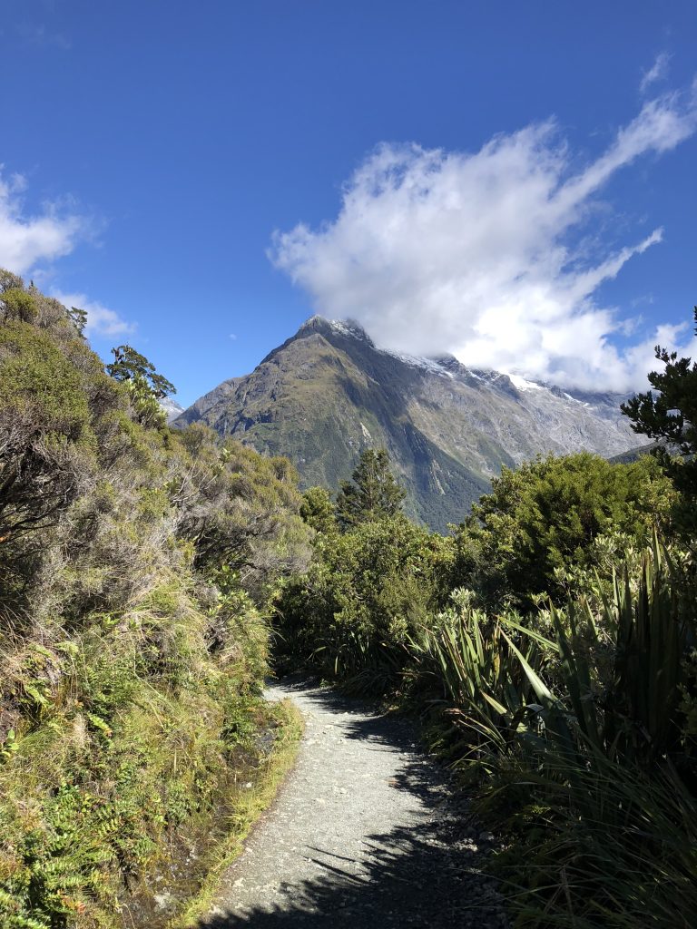 Trekking along the Routeburn Track, soaking in the majestic views