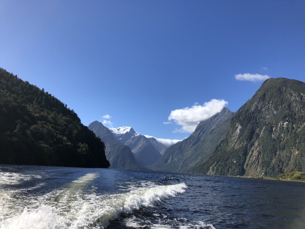 Spending the night on Milford Sound was a highlight of my New Zealand South Island itinerary