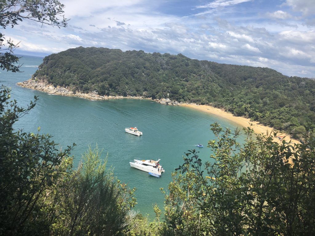 Spent an afternoon kayaking and hiking through Abel Tasman National Park, my last adventure of the New Zealand South Island itinerary