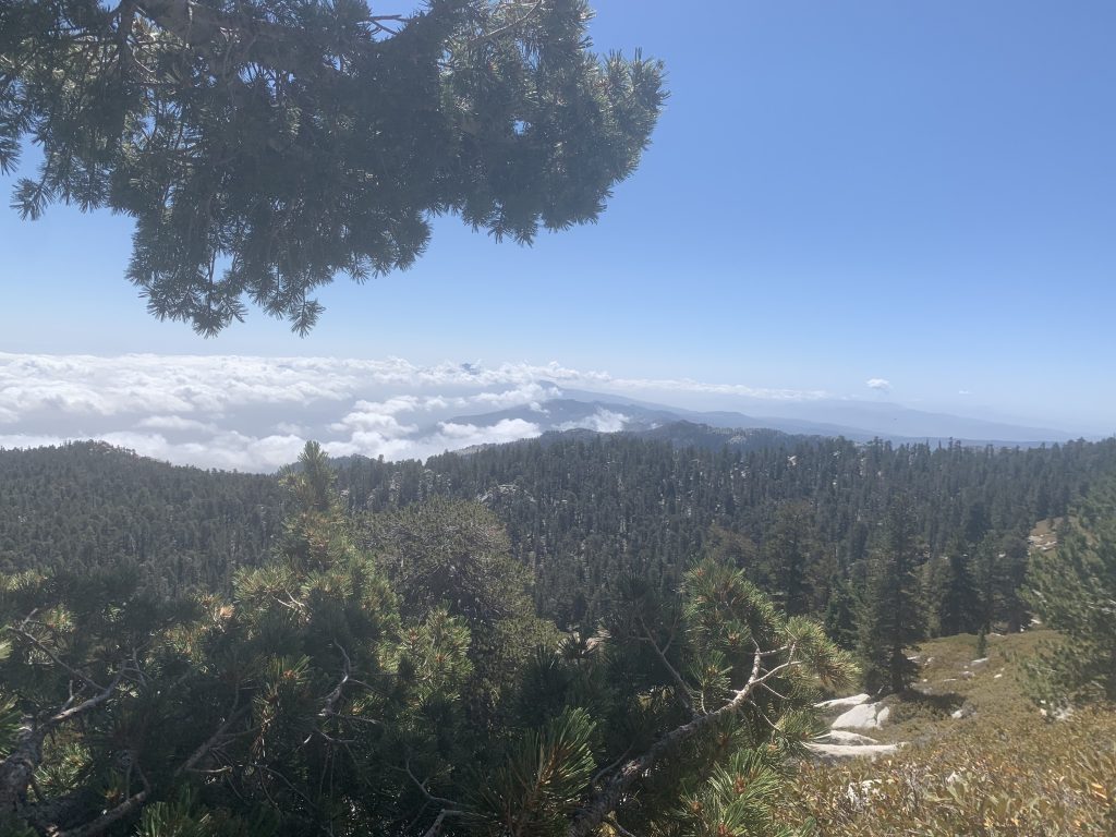 There's plenty of places to get fresh mountain air that are a short drive from San Diego