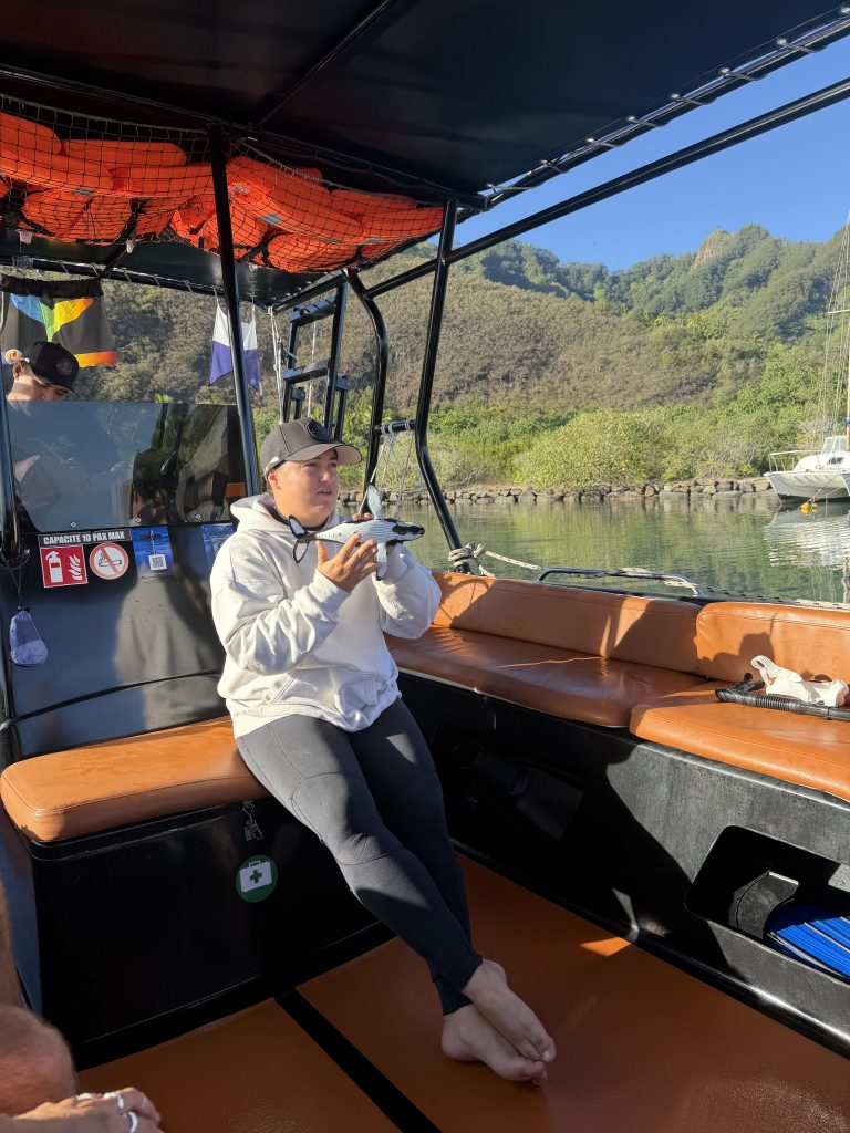 Koa Boat Tour was a top-notch operator for swimming with whales in Moorea