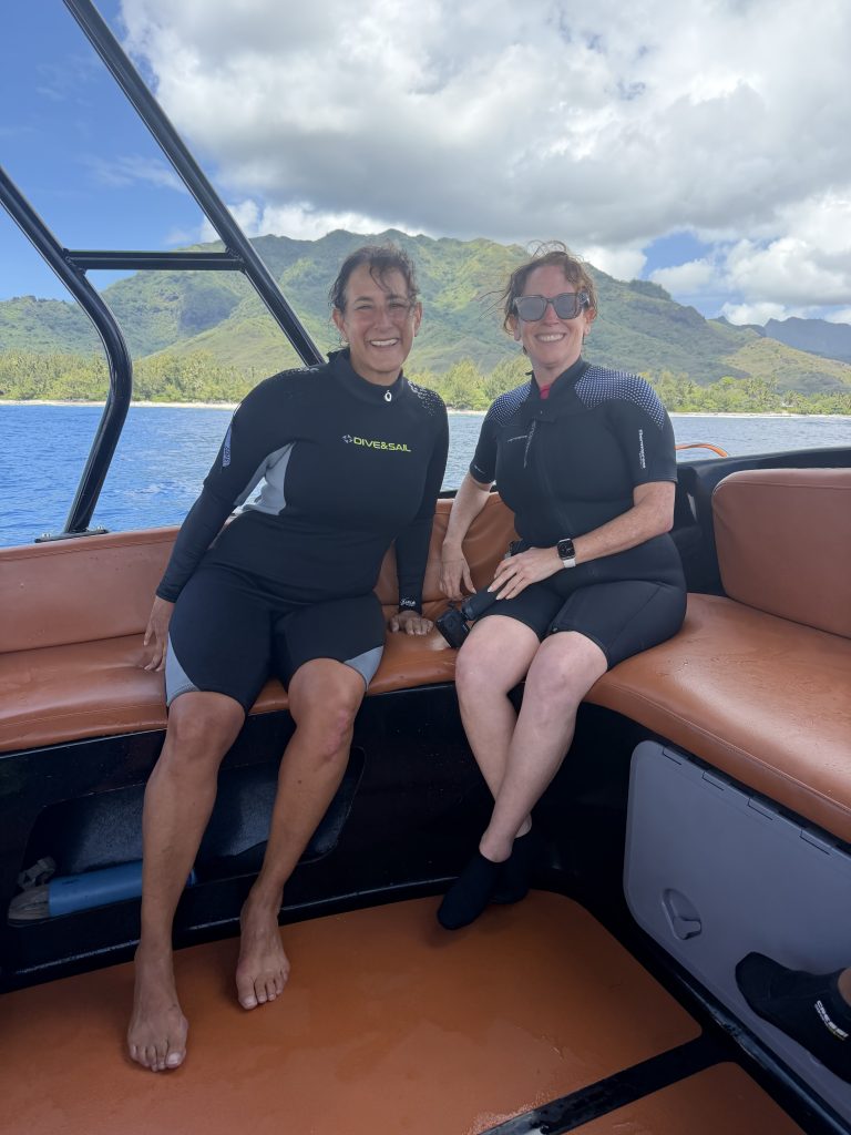 I recommend bringing your own wetsuit, snorkel and fins to swim with whales in Moorea