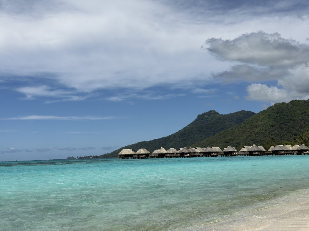 Advisors can help you with the logistics, operators, and everything else to help your trip go smoothly