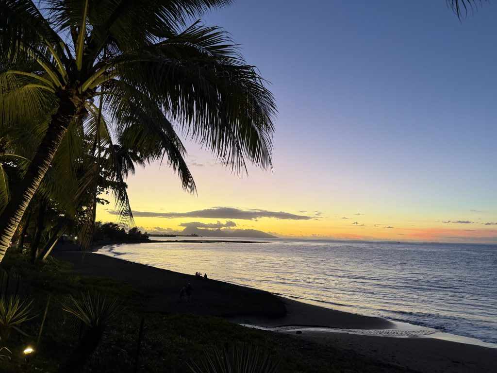 You can also swim with whales in Tahiti - we saw them from our hotel